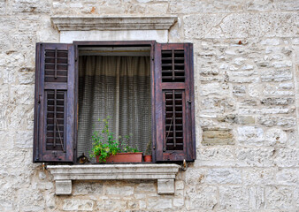 Fototapeta na wymiar open stylish window with shutters, flowers and a cat