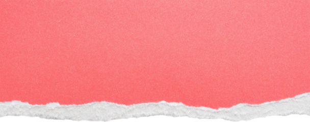 pink ripped paper torn edges strips isolated on white background