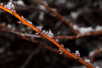 First snow on city street, Kharkiv, Ukraine
