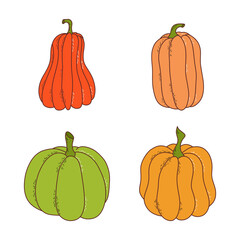 Set of pumpkin of various shapes and colors. Thanksgiving and halloween elements. Vector illustration in hand drawn style