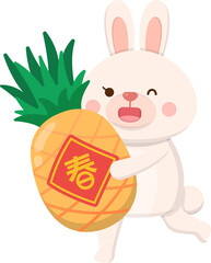Cute rabbit mascot character with pineapple, chinese new year