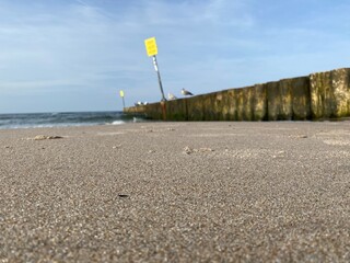 A wooden breakwater on the Baltic Sea, protecting the shore from the waves, a wide sandy beach