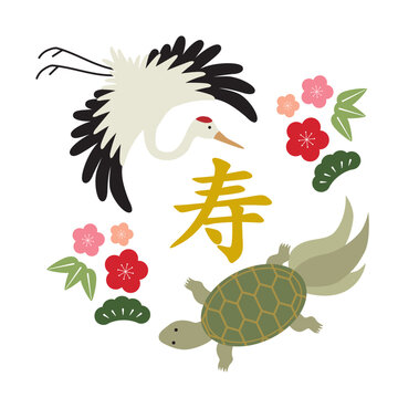 Ilustração de animais tradicionais para colorir e imprimir, com aves e tartarugas em traços delicados
