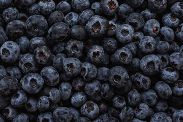 Ripe blue blueberries close-up view. Berry summer blue background