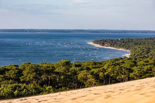 France, Nouvelle-Aquitaine, Pyla sur Mer, Arcachon Bay and forested shore of Dune of Pilat