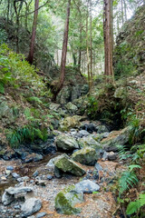 獅子ヶ滝からの流れ／日本埼玉県入間郡毛呂山町