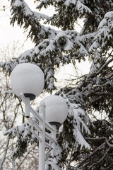 street lamps and fir tree tops covered with snow on white sky background, view from below
