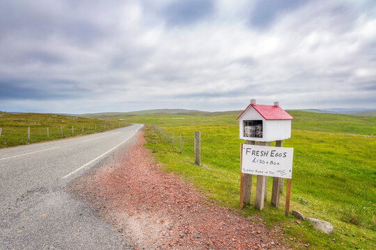 UK, Scotland, Fresh chicken eggs for sale at side of remote road in Shetland Islands