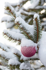 Christmas fir tree branch covered with snow and decorated with pink bauble outdoors, vertical shot