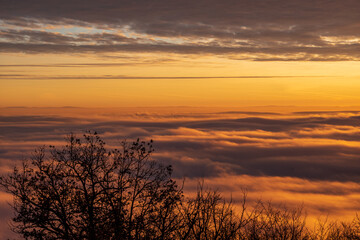 über dem nebelmeer im herbst