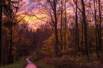 pfad im wald, herbst, dramatische wolken