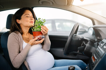 Pregnant woman smells herbs in the car