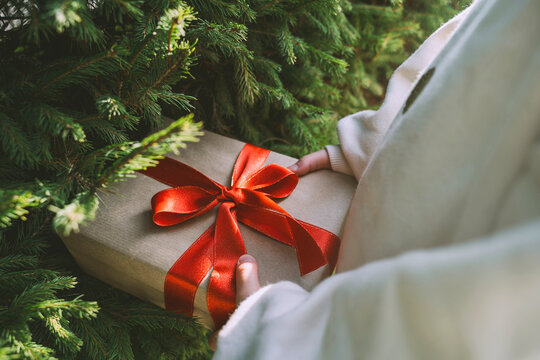 Girl holding gift box tied with ribbon near fir tree