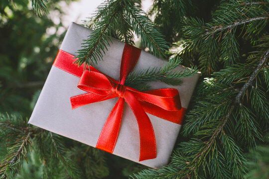 Christmas gift box tied with red ribbon on fir tree