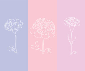 abstract flower cornflower,peony and carnation in on line art style