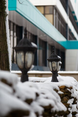 decorative lamps on hedge covered with snow, winter city landscape close up shot