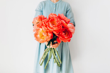 beautiful pink peony in women's hands