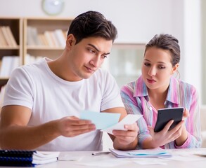 Young family discussing family finances