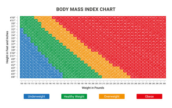bmi index scale classification or body mass index chart information  concept. eps 10 vector, easy to modify Stock Vector