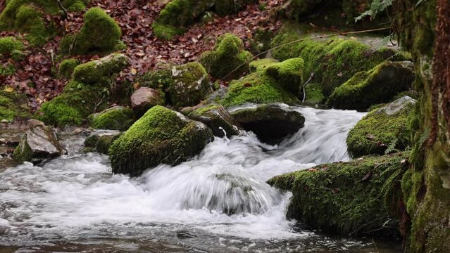 agua cristalina de monta&ntilde;a fluyendo a trav&eacute;s de rocas con musgo verde
