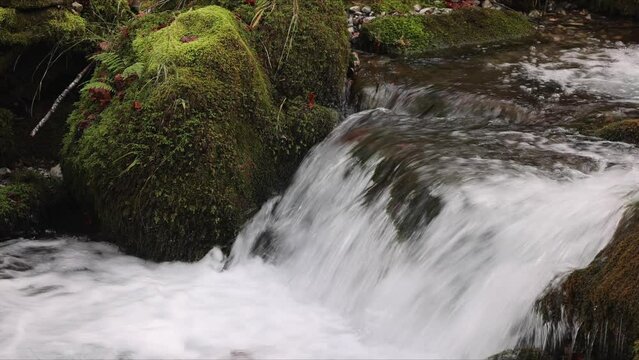 agua cristalina de monta&ntilde;a fluyendo a trav&eacute;s de rocas con musgo verde