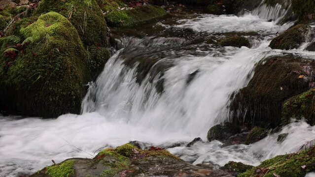 agua cristalina de monta&ntilde;a fluyendo a trav&eacute;s de rocas con musgo verde