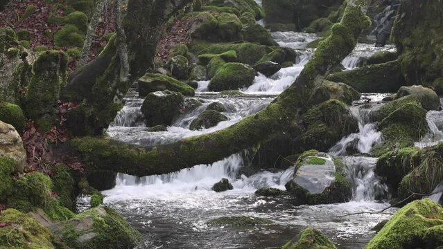 agua cristalina de monta&ntilde;a fluyendo a trav&eacute;s de rocas con musgo verde