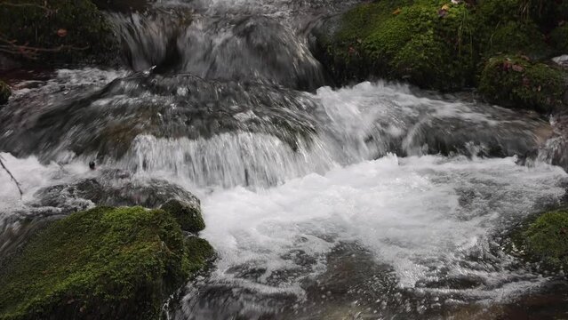 agua cristalina de monta&ntilde;a fluyendo a trav&eacute;s de rocas con musgo verde