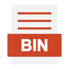 bin file