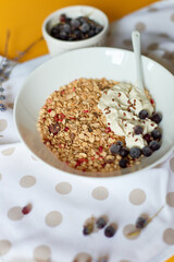 Morning granola breakfast with greek yougurt and blueberry, Homemade oatmeal granola, healthy food.