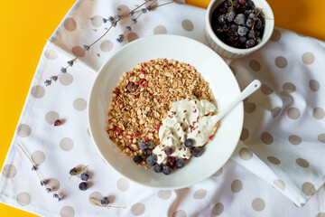Morning granola breakfast with greek yougurt and blueberry, Homemade oatmeal granola, healthy food.