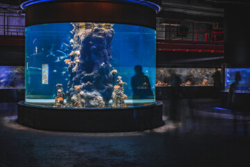 The glass of a huge aquarium with people watching 