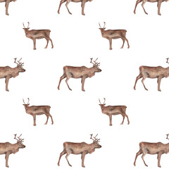 Pattern with deer isolated on white background.For invitation and cards.