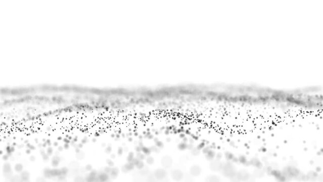 Abstract fluid slow motion dotted black wavy particle curve shape isolated on white background with depth of field, 3d animation digital technology copy space looping background


