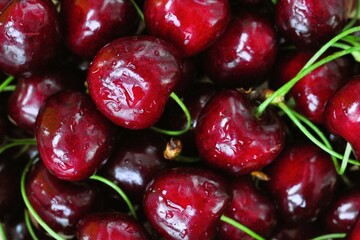 Fresh juicy, wet, red, cherry berries pattern background