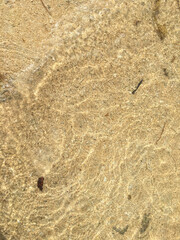 abstract sand of beach and soft wave background