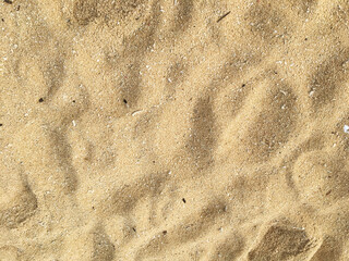 Sand texture background. Top view