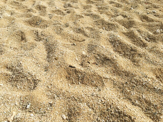 Sand texture background. Top view