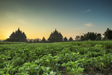 Landscape photo of Plaosan Lor Temple at dawn in Klaten, Central Java, Indonesia. One of the...