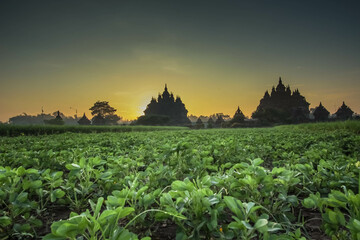 Landscape photo of Plaosan Lor Temple at dawn in Klaten, Central Java, Indonesia. One of the...