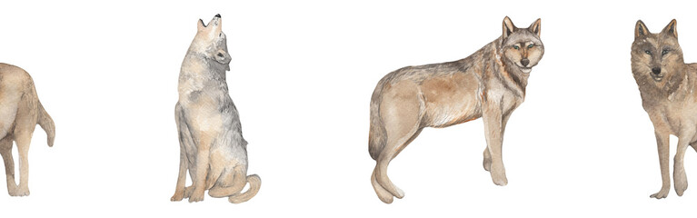 Border with wolf.Watercolor hand drawn illustration with white isolated background.