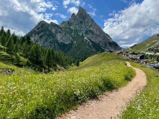 Fototapeta premium landscape in the mountains