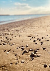 Macro photo of Cyprus sunny mediterranean cost pebble seaside, with prints on the sand divided by horizon line, under the azure sky.