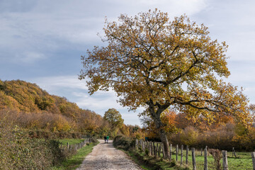 Girlfriends walking through the field in autumn