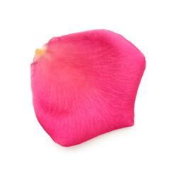 Petals isolated on white background