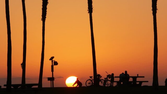 Orange sky, silhouettes of palm trees on beach at sunset, California coast, USA. Bicycle or bike in beachfront park at sundown in San Diego, Mission beach vacations resort on shore. People walking.