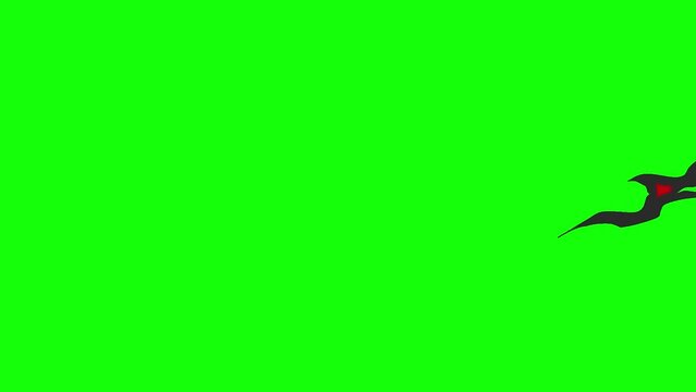 Spark effects on green screen