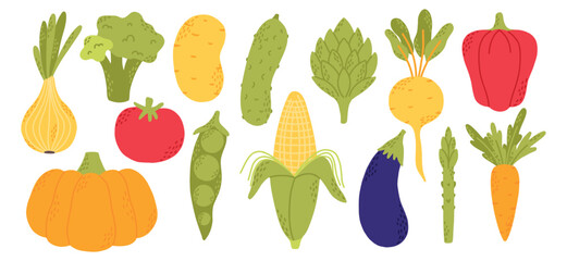 Flat vegetables vector set. Collection of vegetables broccoli, corn, pepper, onion, garlic, asparagus, pumpkin , carrot. Hand-drawn style isolated on white background.