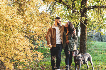 young couple walking with the dog in a park, autumn scenery, happy lifestyle of young lovers and pet concept