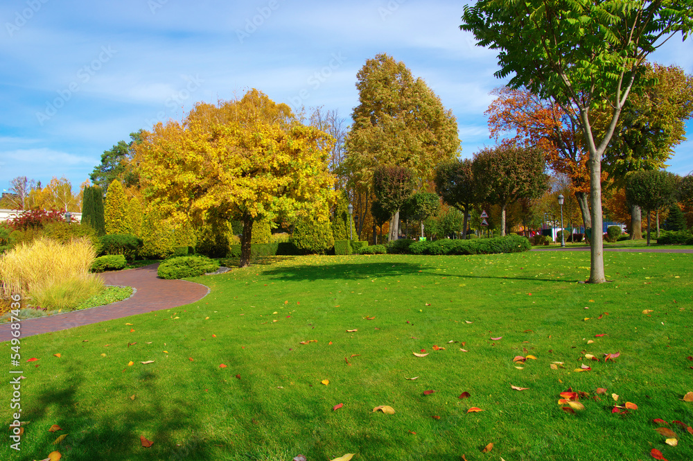 Wall mural Autumn park with colorful fall foliage